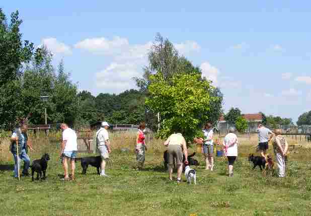 auf der Hundewiese am Tierheim