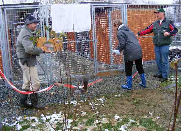 Das Band wird zerschnitten